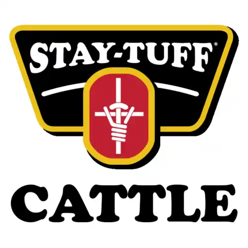 stay tuff cattle